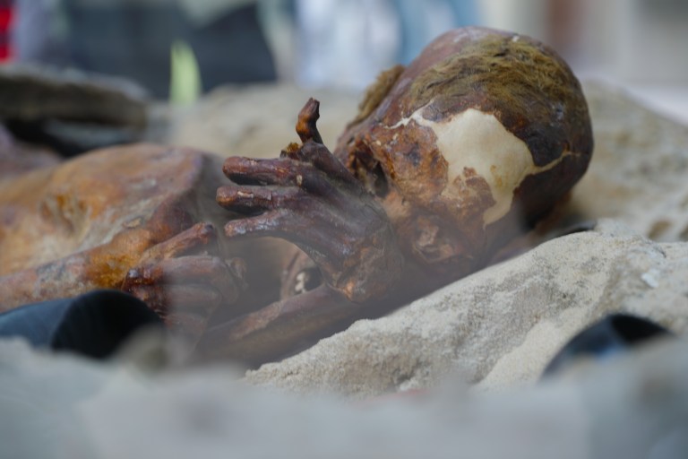 The Gebelein Man (“Ginger”)