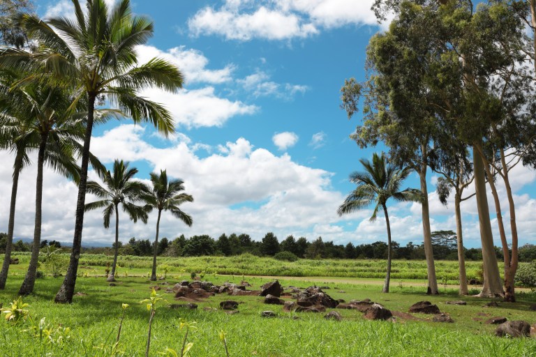 Kukaniloko Birthing Site 2